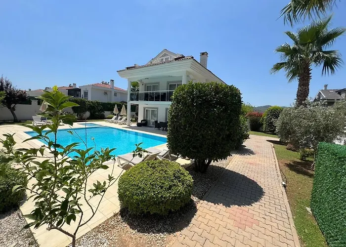 Chaston * 费特希耶