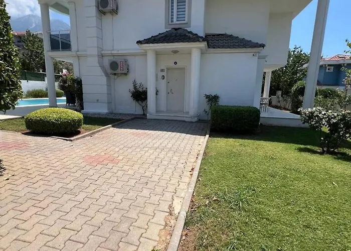 Chaston * 费特希耶