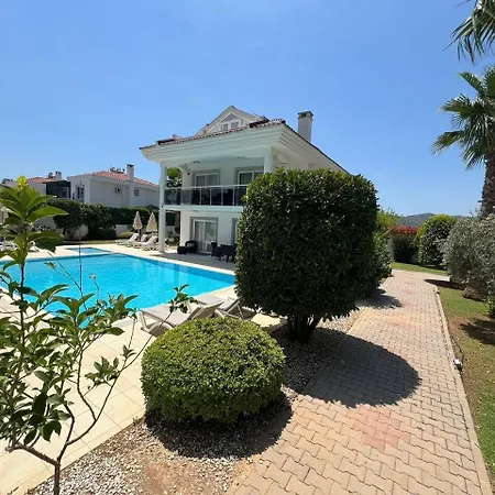 Chaston * פאטהיה